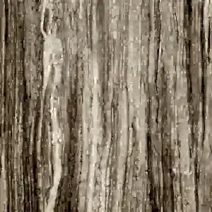 Silk Beige Natural Coverlam 5.6mm Porselen Plaka 120x260