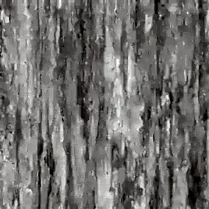 Travertino Grey Coverlam 5.6mm Porselen Plaka 120x278